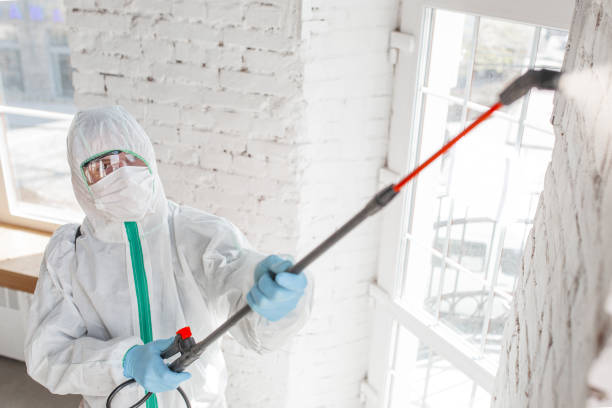 Best Indoor Air Quality Assessment  in Carl Junction, MO